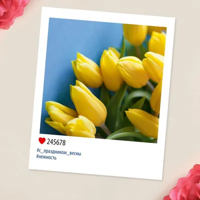 ❏ __❏ Жёлтые тюльпаны ... ❏ __❏. Конкурсы сайта