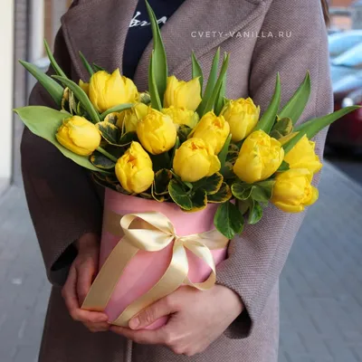 Темно-желтые тюльпаны на лаконичном белом фоне для поздравления с  Международным женским днем - шаблон для скачивания | Flyvi