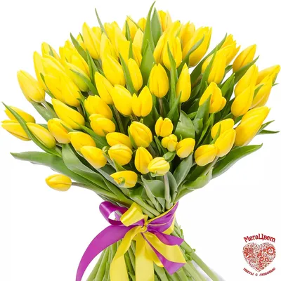 Открытка: Поздравляю с 8 марта! Желтые нарциссы в ведёрке. | Нарциссы,  Праздничные открытки, Цветы на рождение