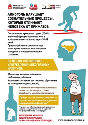 Что такое \"пятничный\" алкоголизм и почему так расслабляться нельзя - РИА  Новости Крым, 25.04.2022
