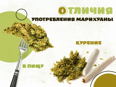 О вреде употребления марихуаны — Официальный сайт МО \"Хасавюртовский район\"