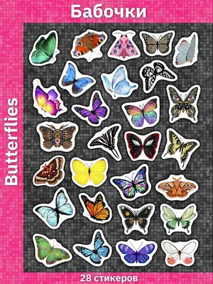 Красочные Гармония цветочные фон с бабочками Stock Illustration | Adobe  Stock