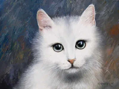 Ученые объяснили, почему у домашних кошек белые лапки | ИА Красная Весна