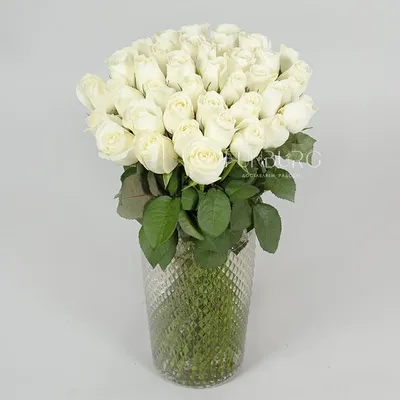 Белые цветы Эрец-Исраэль
