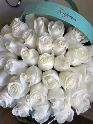 Белые розы в нежном оформлении (5 шт) №1574 купить в Саранске