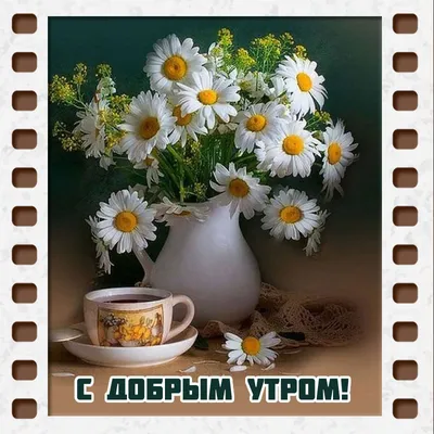 Картинка \"Самого доброго утра!\" с котиком, который пьёт чай у самовара •  Аудио от Путина, голосовые, музыкальные