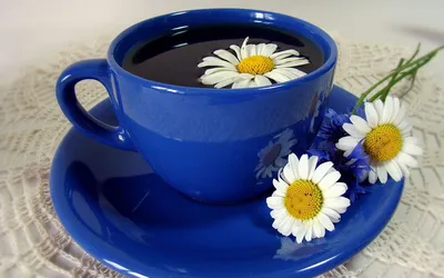 Обои на рабочий стол Ромашковый чай с цветами в синей чашке, обои для  рабочего стола, скачать обои, обои бесплатно