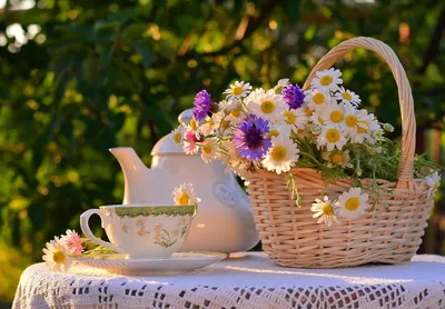 Утро чай цветы - красивые фото