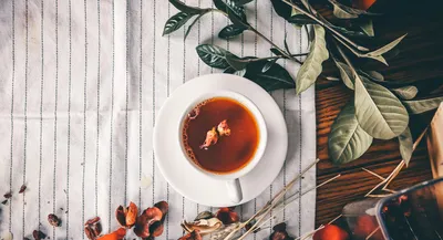 Античная чашка чая с чаем. стоковое изображение. изображение насчитывающей  флористическо - 36831829