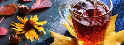Напиток чайный «Липа с черным чаем», пакетики с бесплатной доставкой на дом  из «ВкусВилл» | Москва и вся Россия