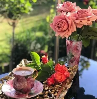 цветы и кофе на подоконнике Фон Обои Изображение для бесплатной загрузки -  Pngtree
