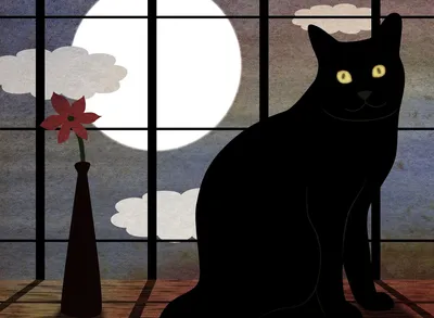 Почему люди боятся черных кошек: старинные суеверия - МЕТА