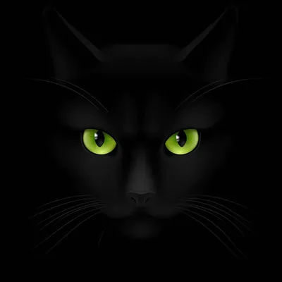 Брелок с черным котом, металлический брелок на ключи с черным котиком,  черный кот (ID#1649437567), цена: 208 ₴, купить на Prom.ua