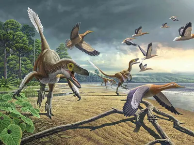 Динозавры - предки птиц. От кого произошли пернатые?