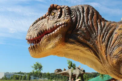 Прогулки с динозаврами (аниматронное шоу) — Википедия