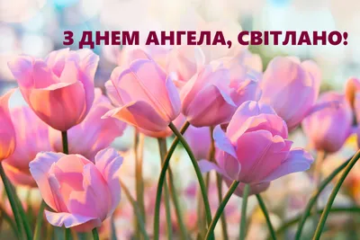 День ангела Светланы 2022 - поздравления с именинами Светланы - картинки,  открытки - ZN.ua