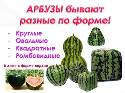 С ДНЕМ АРБУЗА! 🍉🍃🏵🌿🍉 3 августа | Праздник, Арбуз