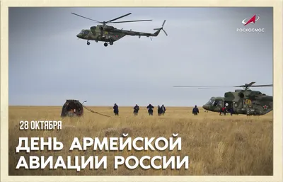 Сегодня День армейской авиации ВКС России! - Лента новостей Херсона
