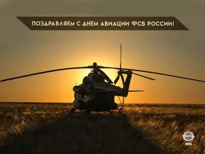 Глава Севастополя поздравил граждан с Днем армейской авиации | ИА Красная  Весна