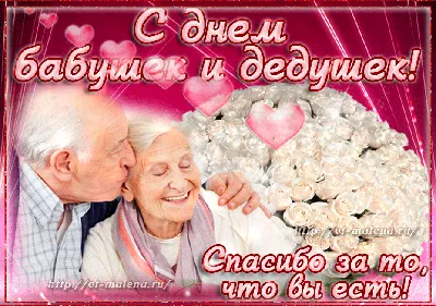 Сегодня в России отмечают День бабушек и дедушек - Новости -  Общественно-политическая газета «Трибуна»