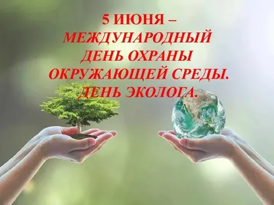 С Днем эколога и Всемирным днем окружающей среды!