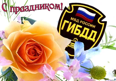 3 июля – День ГИБДД МВД РФ - Правительство Тамбовской области