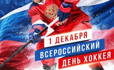 Всероссийский День хоккея! - Федерация хоккея Омской области