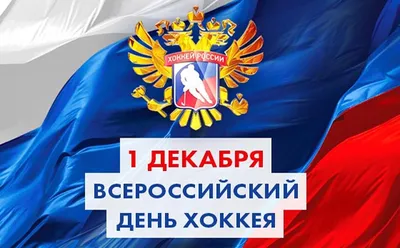 Поздравляем с Всероссийским днём хоккея! | 01.12.2023 | Новости Кондопоги -  БезФормата