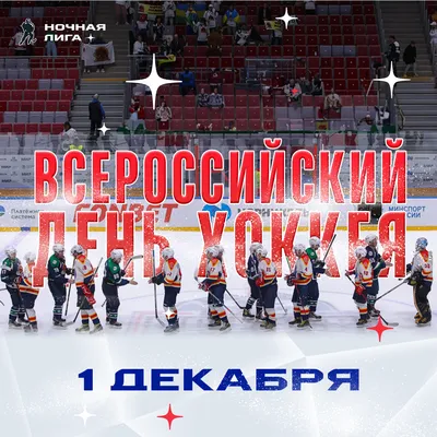 🏒 Поздравляем с Всероссийским днём хоккея! Желаем, чтобы любимая игра  приносила только радость! #СтальныеЛисы #Магнитогорск #ММК… | Instagram