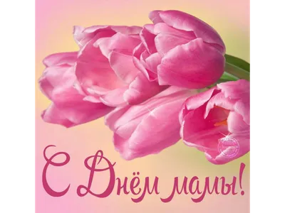Спасибо, мама!\". Сегодня мы поздравляем всех мам с праздником - днём матери!  Мама всегда поддержит и поймёт.. | ВКонтакте