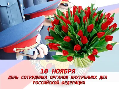 10 ноября — День сотрудника органов внутренних дел РФ | Пикабу