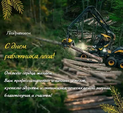 C Днем работников леса и лесоперерабатывающей промышленности! | ПТК Модерам