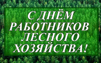 Поздравление с днем работников леса :: Тайшетский район