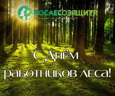 С Днём работника леса!🌲 Ежегодно в третье воскресенье сентября в России  отмечается профессиональный праздник.. | ВКонтакте