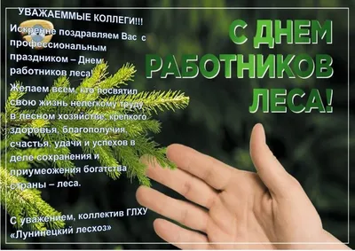 С Днём работников леса! | 17.09.2023 | Новости Улан-Удэ - БезФормата