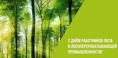 Официальный сайт администрации городского округа Семеновский - Поздравление  с Днем работников леса!