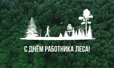 Открытки и картинки в День работников леса 17 сентября 2023 (96 изображений)