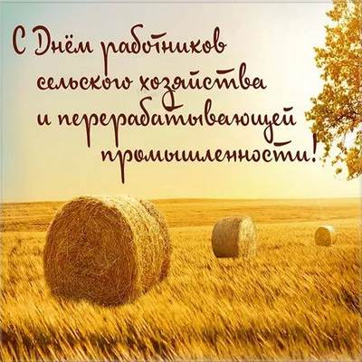 С днем работника сельского хозяйства и перерабатывающей промышленности! -  mozyr-svz.by