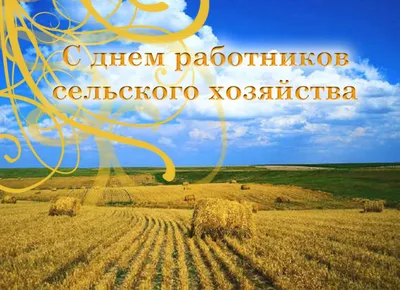 Поздравление с Днем работников сельского хозяйства и перерабатывающей  промышленности! | Администрация Муромского района