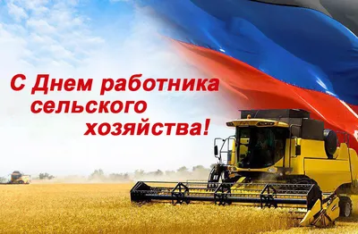 День работников сельского хозяйства Украины - поздравления, картинки и  открытки с праздником 20 ноября - Телеграф