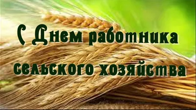 Поздравляем с профессиональным праздником всех работников сельского  хозяйства!