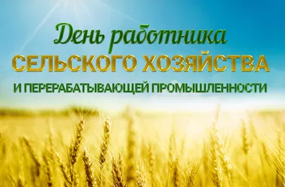 С праздником — Днем работника сельского хозяйства! — Якутский  научно-исследовательский институт сельского хозяйства имени М. Г. Сафронова