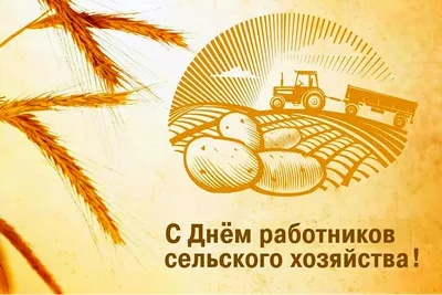 День работников сельского хозяйства и перерабатывающей промышленности – ДРТИ