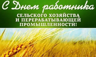 День работника сельского хозяйства и перерабатывающей промышленности  отмечается 8 октября | Администрация Городского округа Подольск