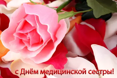 Поздравляем с Днем работника ЖКХ - Новости - Промкотлоснаб в Барнауле
