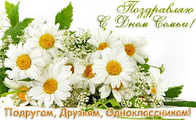 Красивая открытка С Днем Семьи | Macro photography flowers, Flowers,  Freesia flowers