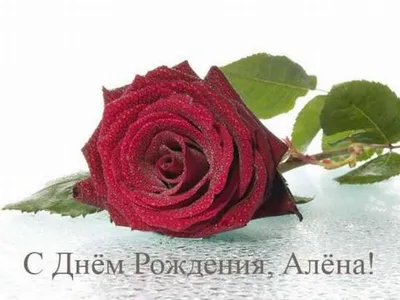 Поздравления с днем рождения Алене (Много фото) - deviceart.ru