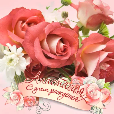 Открытка с именем анастасия С днем рождения огромное количество роз на  открытке. Открытки на каждый день с именами и пожеланиями.