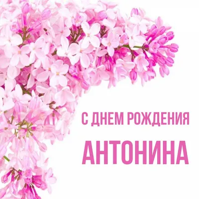Открытка с именем Антонина Александровна С днем рождения картинки. Открытки  на каждый день с именами и пожеланиями.