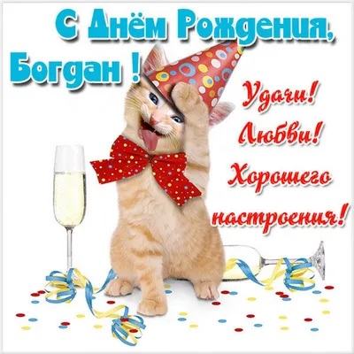 🎂 14 февраля — день рождения нашего защитника Богдана Киселевича! Ему  исполняется 33 года. Богдан присоединился.. | ВКонтакте